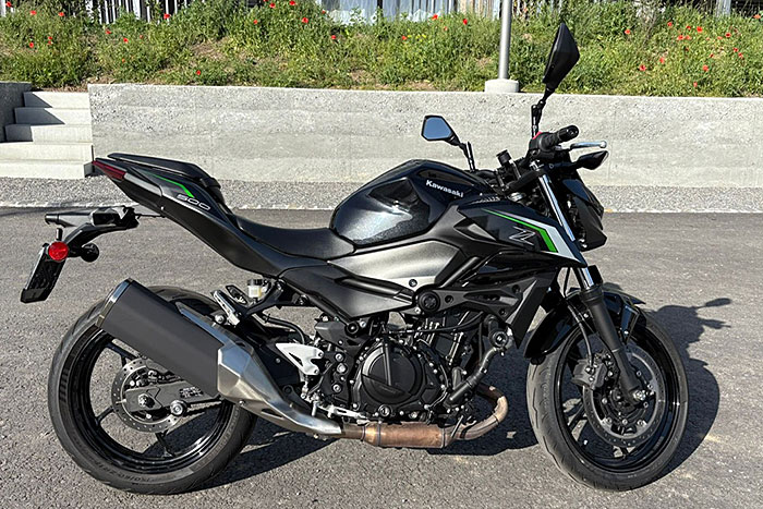 bmw z 500 gs